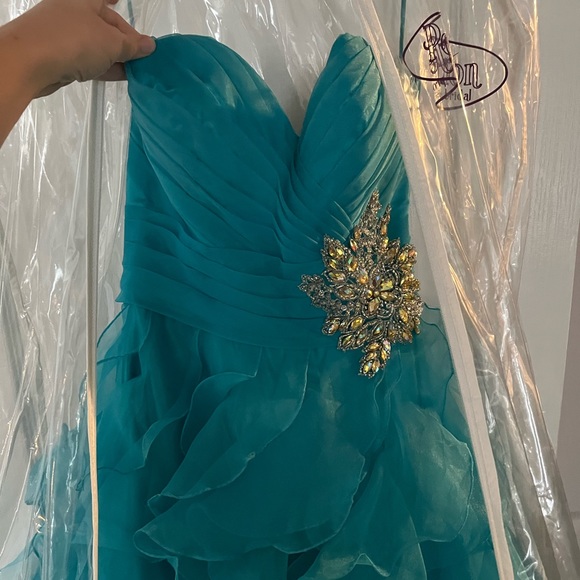 Prom/Quince/Pagent Dress - Picture 6 of 8